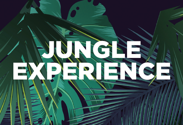 Jungle Experience