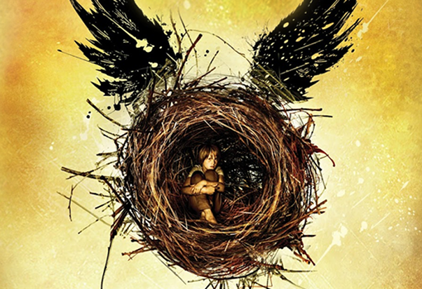 Harry Potter arrives at Borri Books