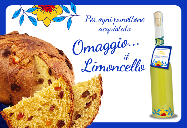 Il gusto del dolce di Natale
